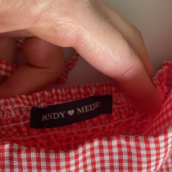 Brandy Melville Red & White Gingham Crop Top - Picture 6 of 10
